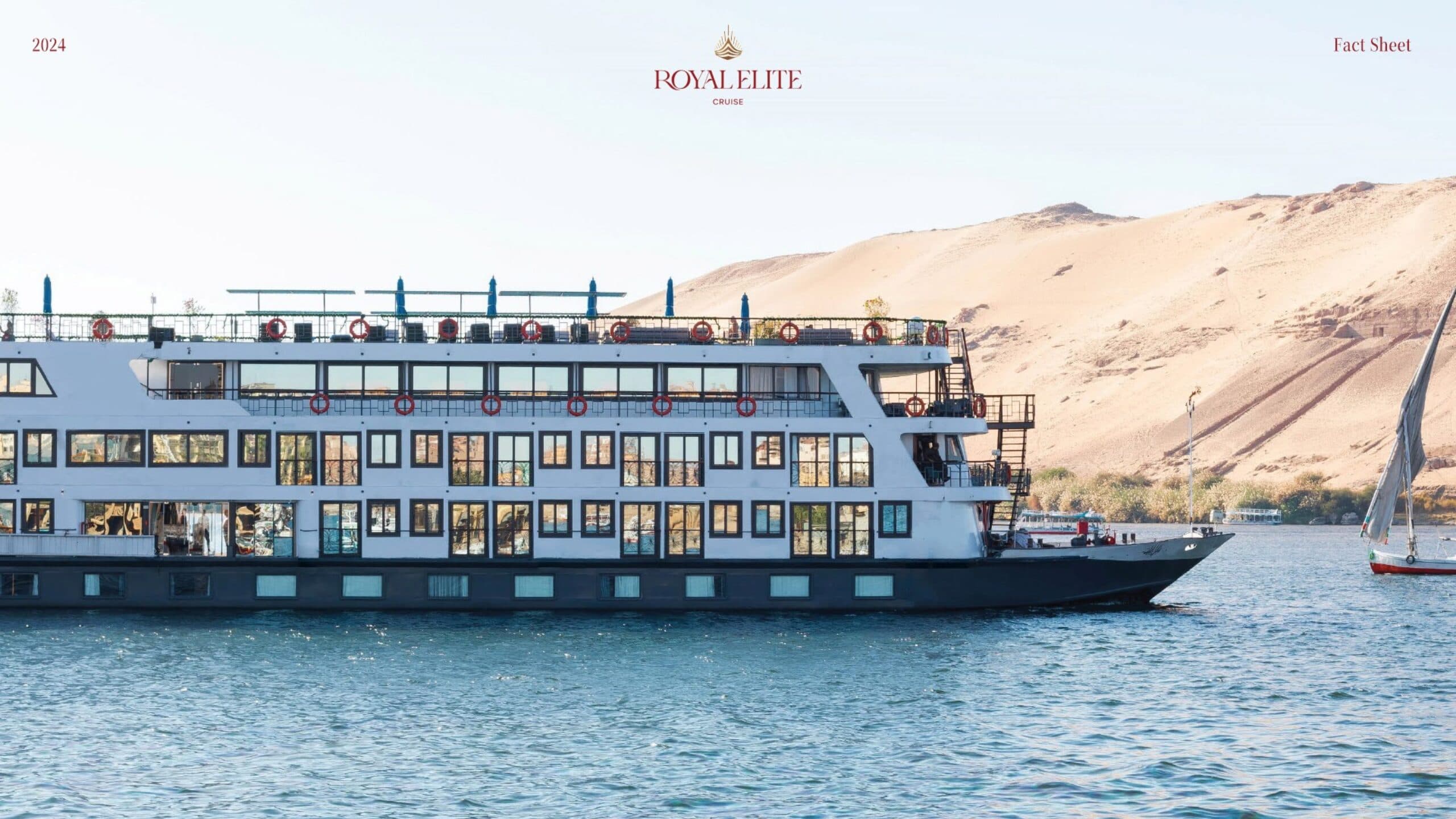 Nile cruise ship beside the Aswan desert