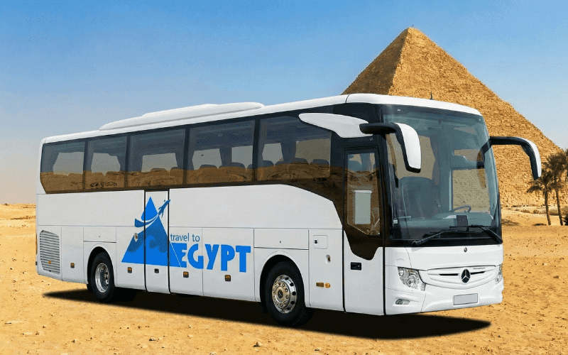 Full-size coach bus for large-group transfers in Egypt