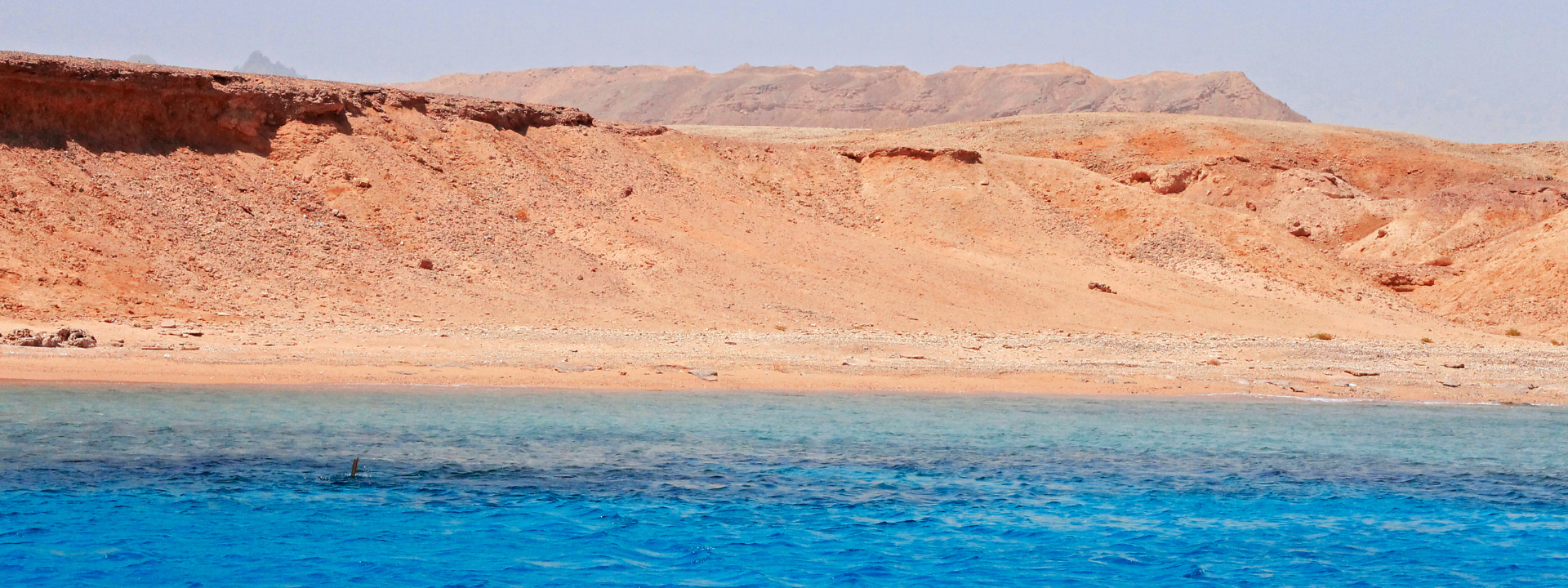 SNORKELING IN RAS MOHAMMED