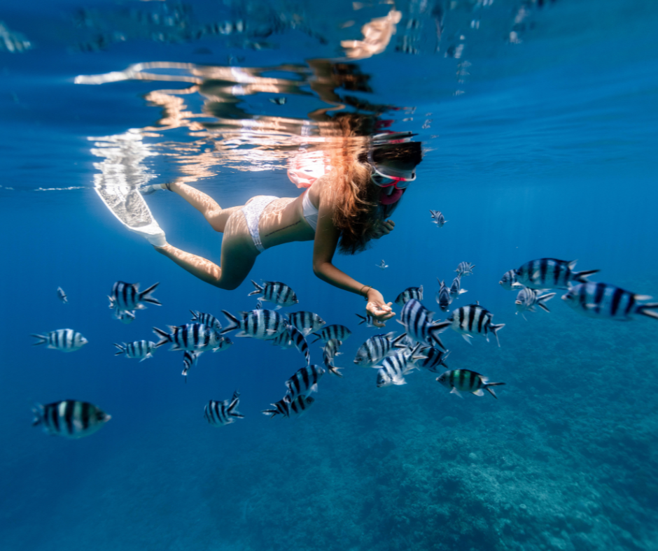 SNORKELING IN RAS MOHAMMED