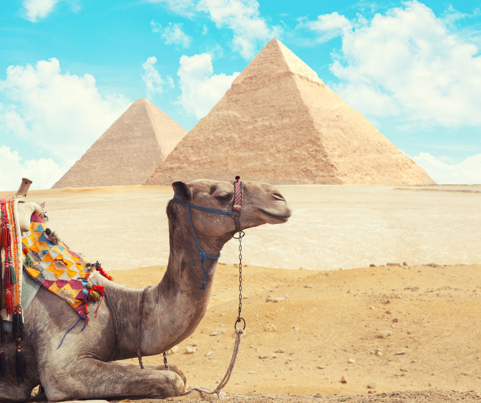 Day Tour To Cairo By Flight